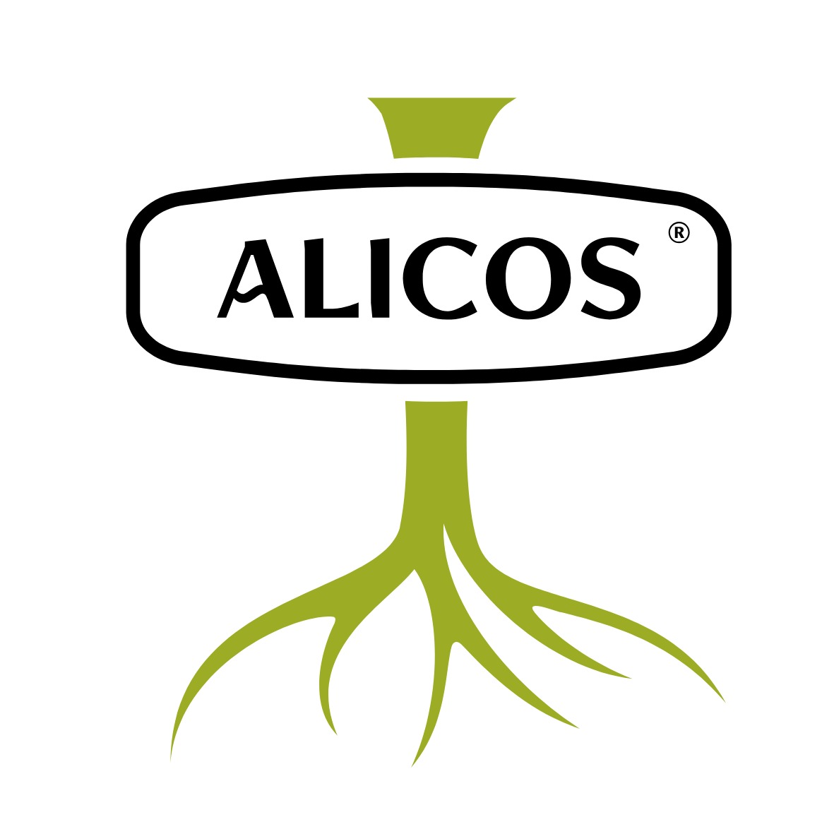 Alicos